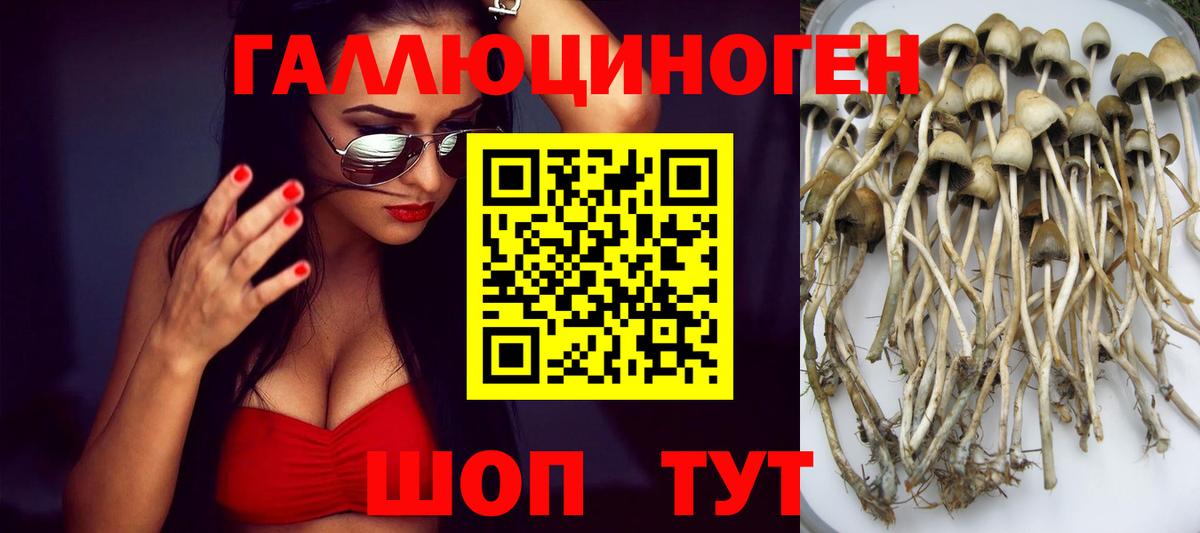 Псилоцибиновые грибы MAGIC MUSHROOMS Егорьевск